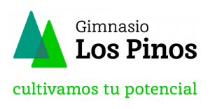 Gimnasio Los Pinos 3