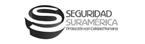 logo-seguridad-suramerica