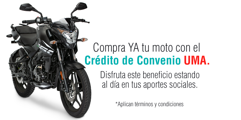 Inicio 3